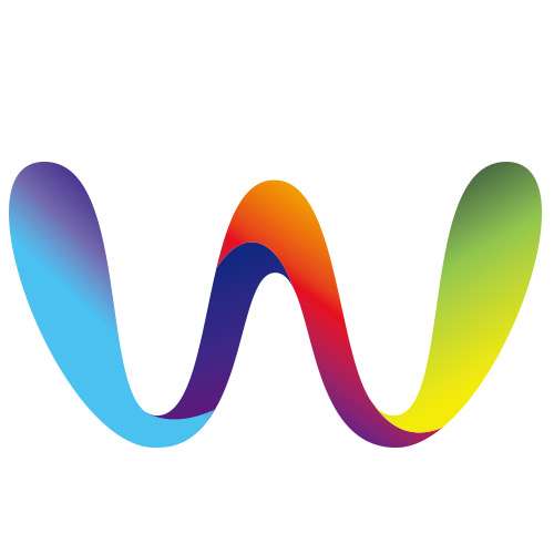 Wiser Information Corp.